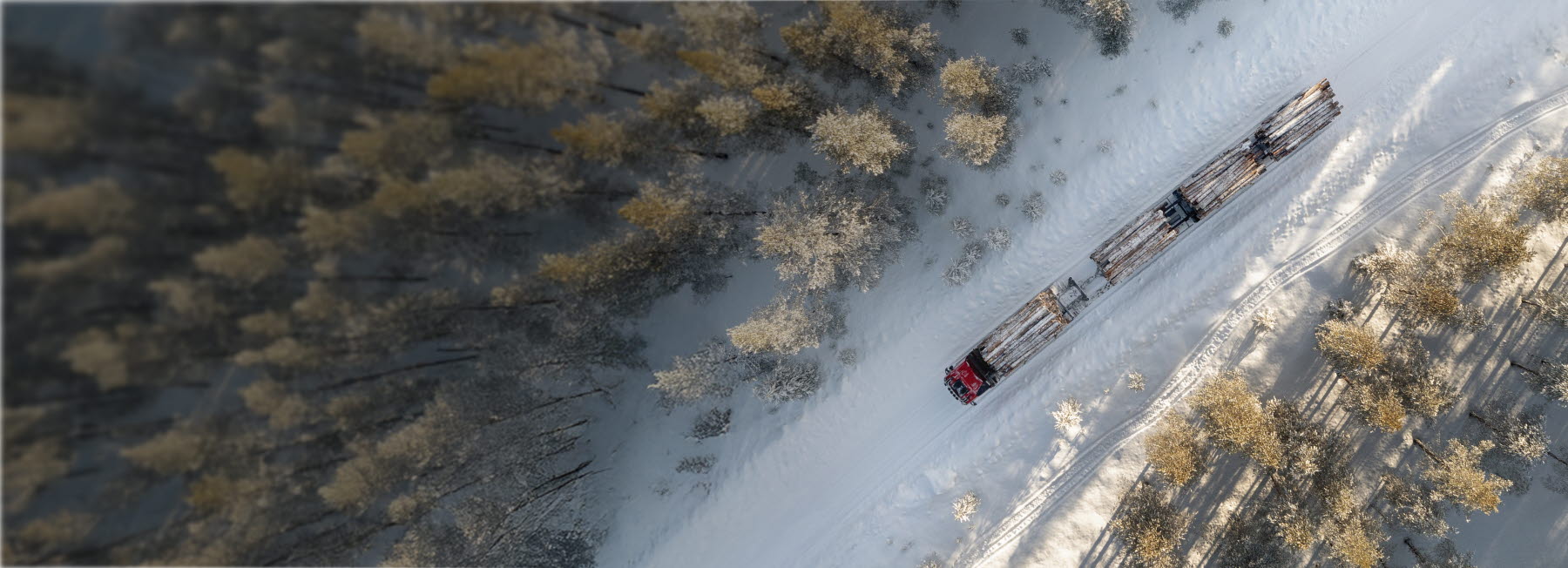 hct transport truck in forest